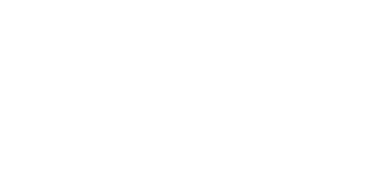 Transition to Success logo